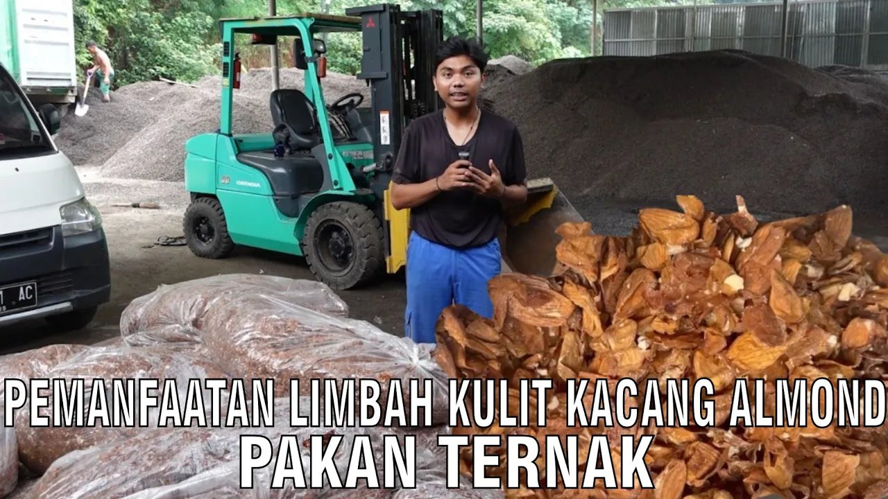 
                                 Pemanfaatan-Limbah-Kulit-Almond-Pakan-Ternak